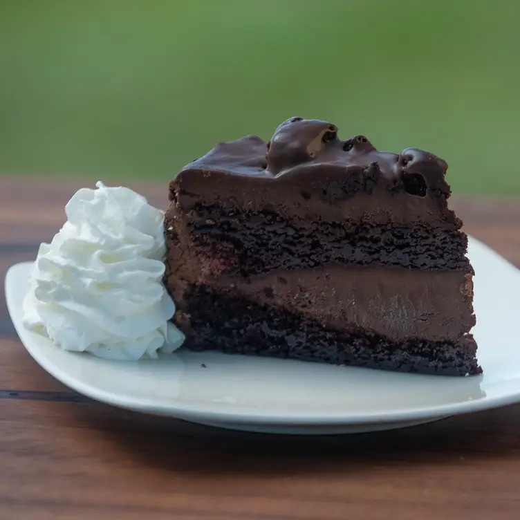 Plate of layered chocolate cake slice with whipped cream on the side